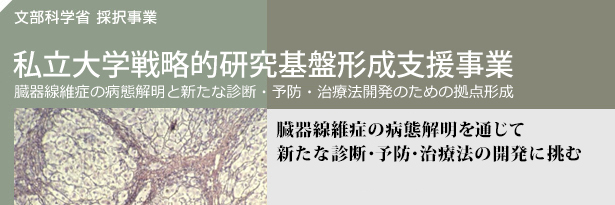 Ȋwȍ̑ w헪IՌ`x 2015Nx̑